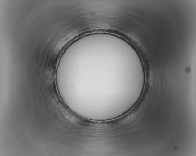 X0000113600873200910021738