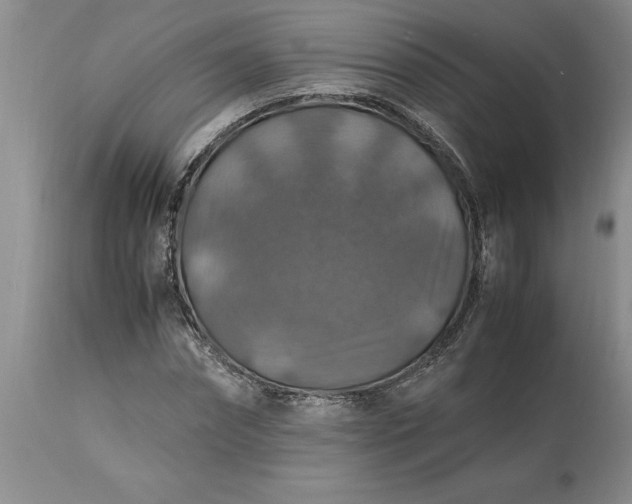 X0000113600874200910021738