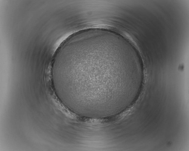 X0000113600875200910021738