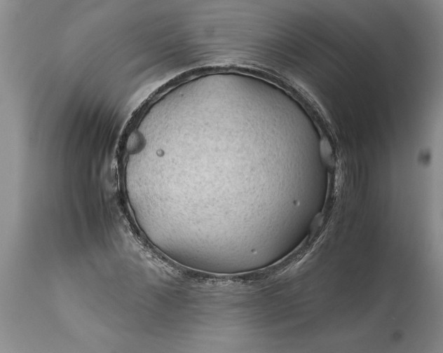 X0000113600876200910021738