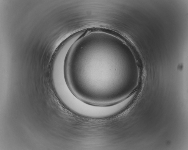 X0000113600877200910021738