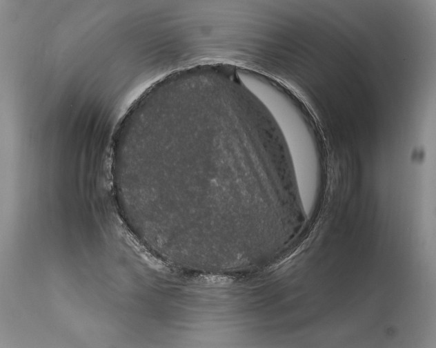 X0000113600878200910021738