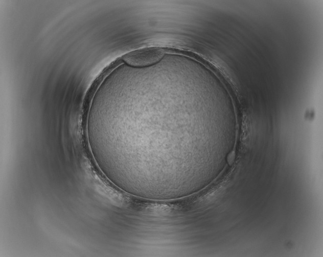 X0000113600880200910021738