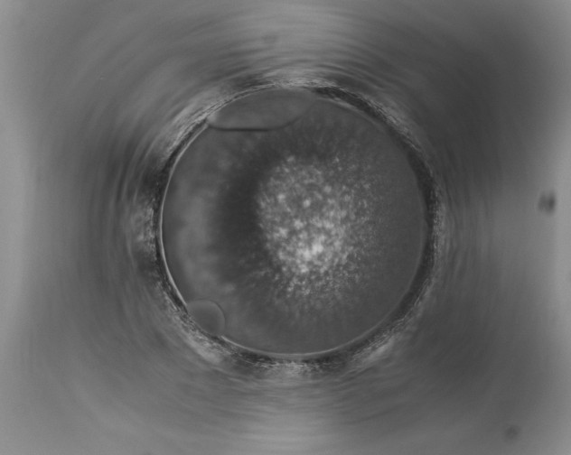 X0000113600881200910021738