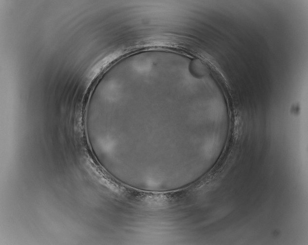 X0000113600882200910021738