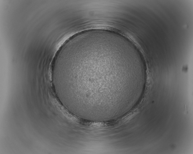 X0000113600883200910021738