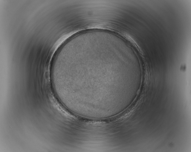 X0000113600884200910021738