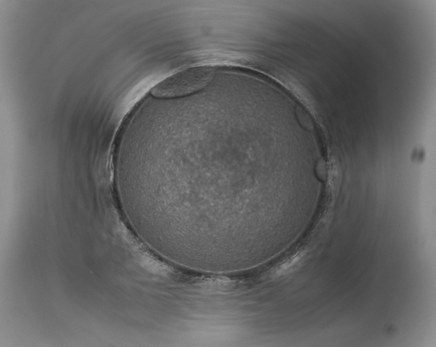 X0000113600885200910021738