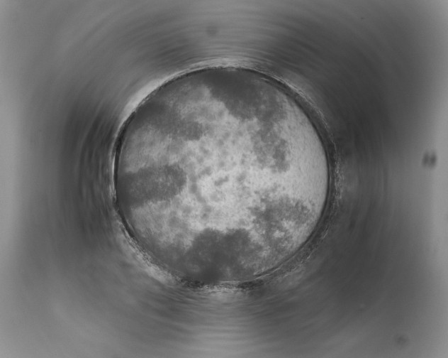 X0000113600886200910021738