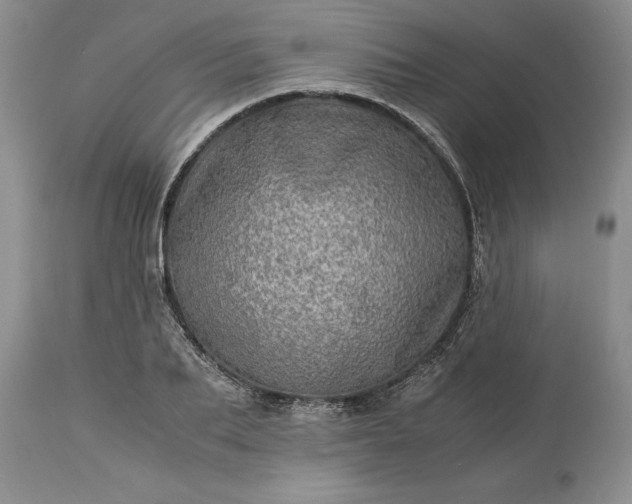 X0000113600887200910021738