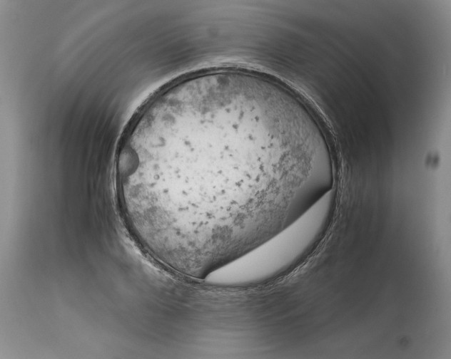 X0000113600888200910021738