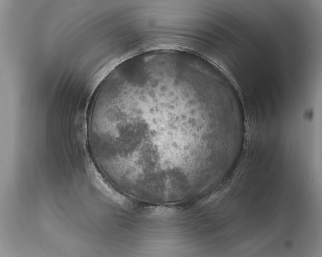 X0000113600890200910021738