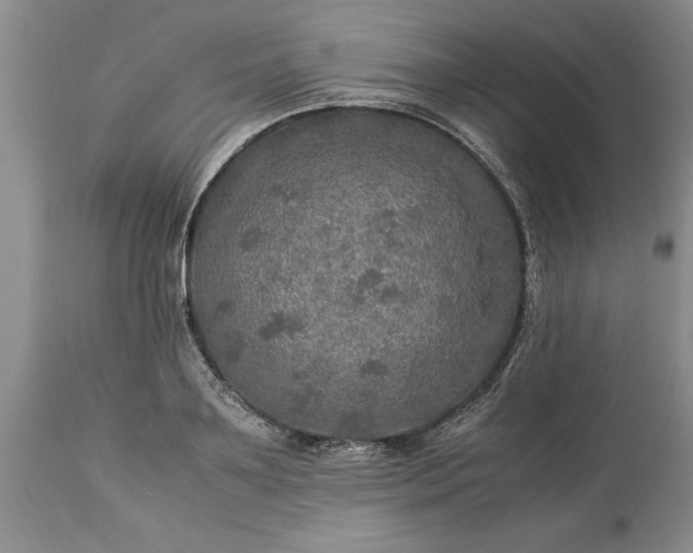 X0000113600891200910021738