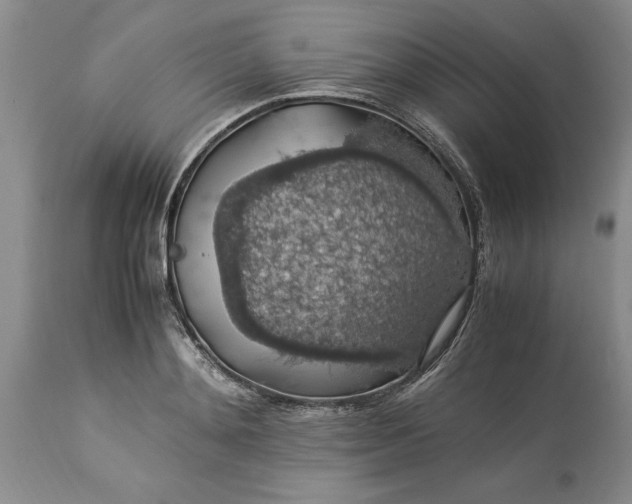 X0000113600892200910021738