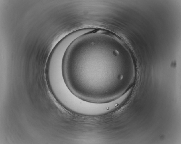 X0000113600893200910021738