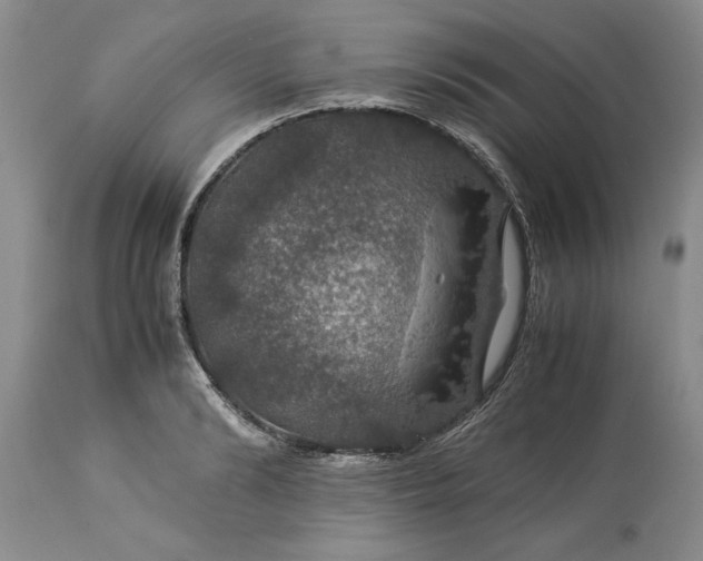 X0000113600894200910021738