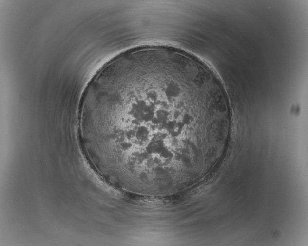 X0000113600895200910021738