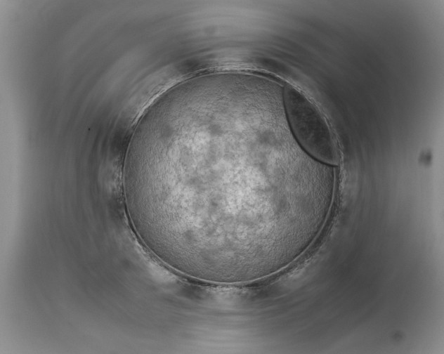 X0000113600897200910021738