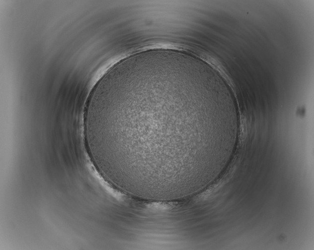 X0000113600898200910021738