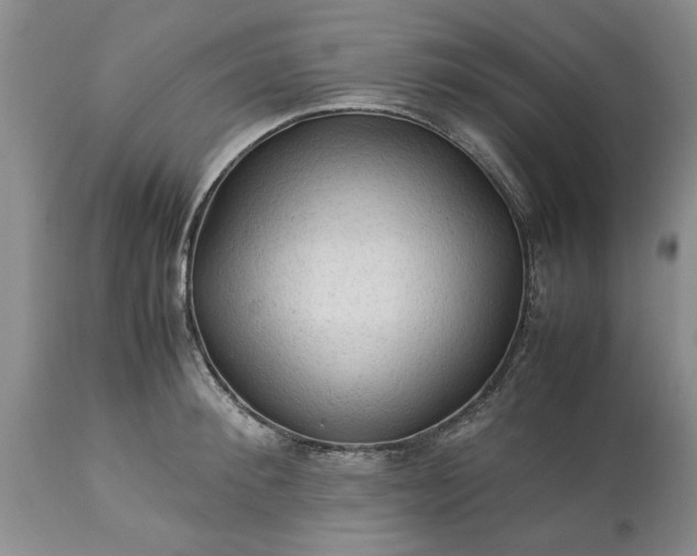 X0000113600900200910021738