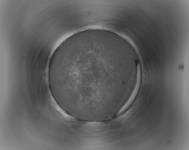 X0000113600902200910021738