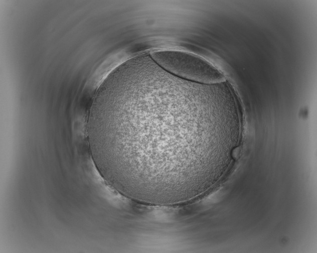 X0000113600905200910021738