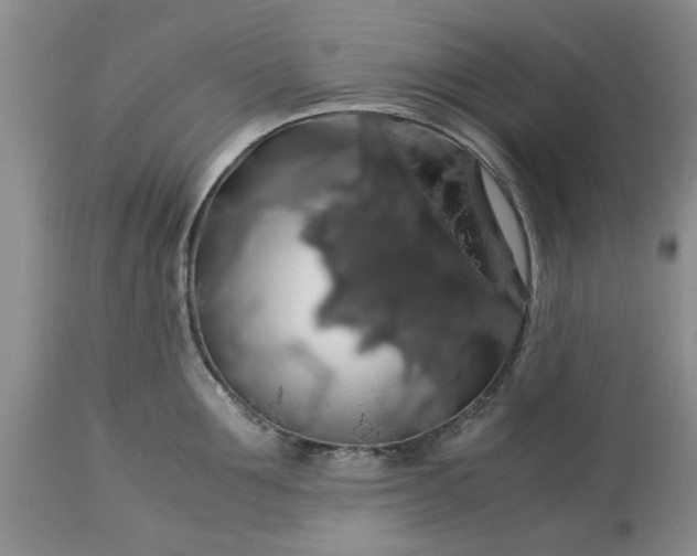 X0000113600907200910021738