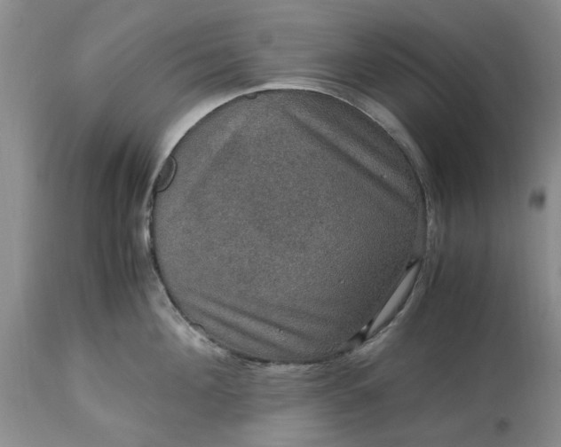 X0000113600908200910021738