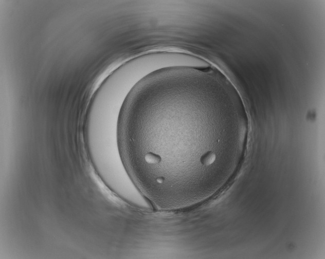 X0000113600909200910021738