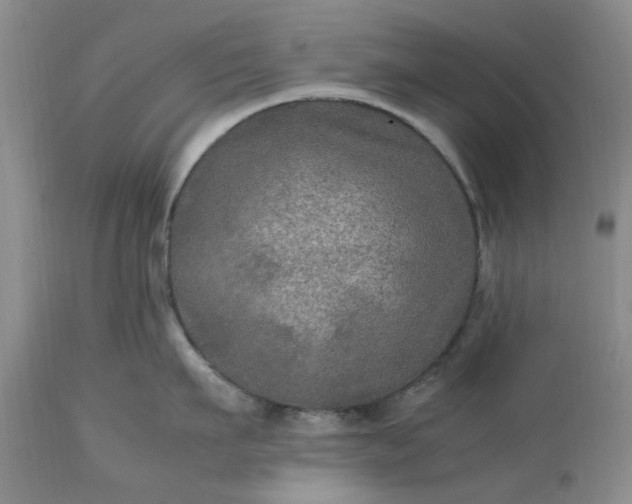 X0000113600911200910021738