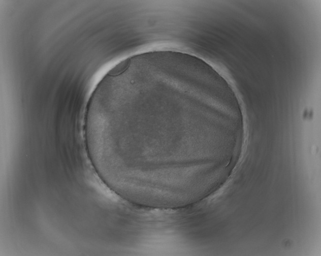 X0000113600912200910021738