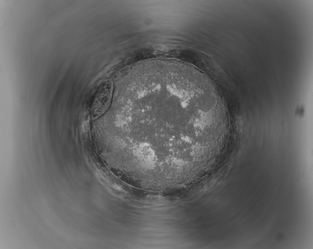 X0000113600914200910021737