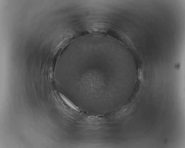 X0000113600915200910021737