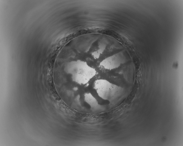 X0000113600917200910021737