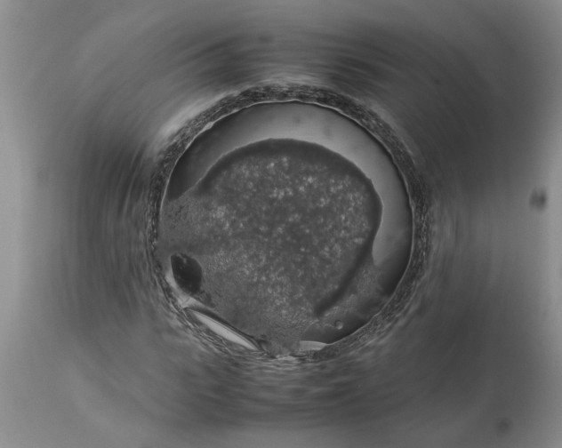 X0000113600919200910021737