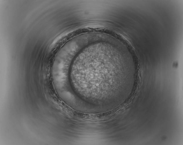 X0000113600920200910021737