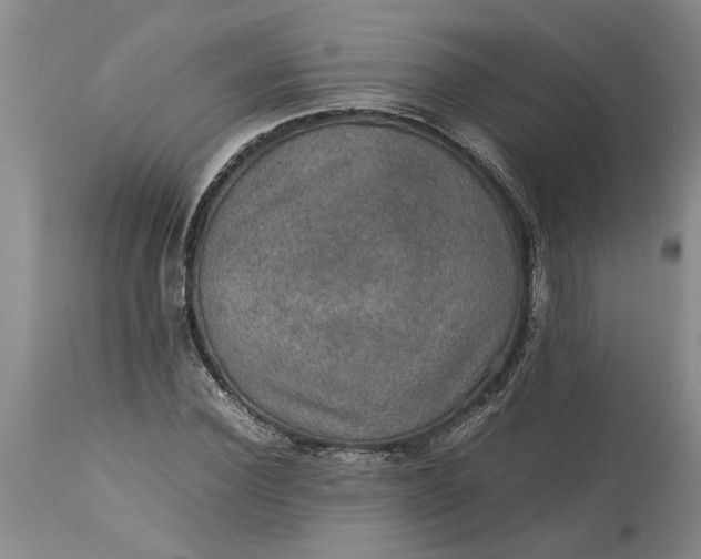 X0000113600924200910021737