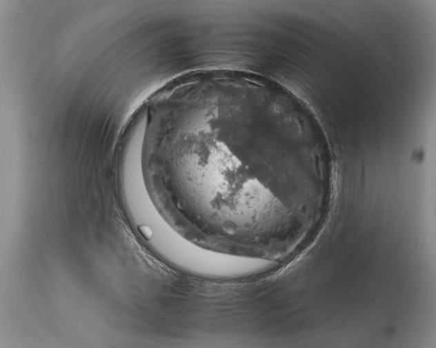 X0000113600925200910021737