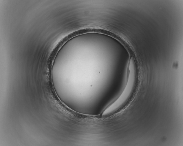 X0000113600926200910021737