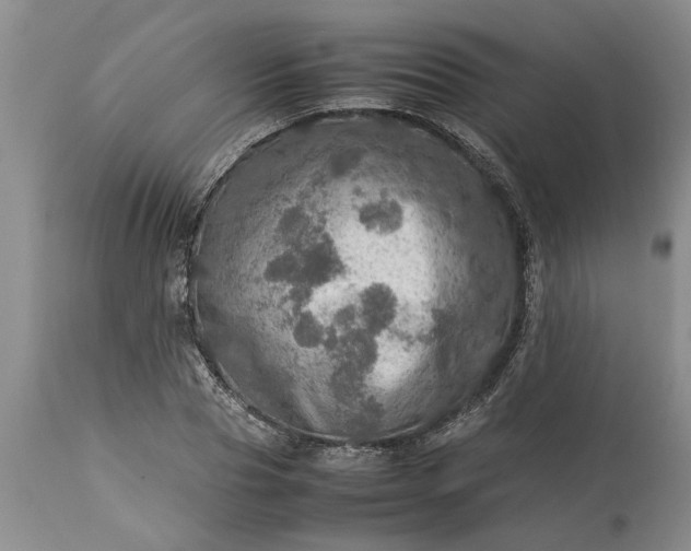 X0000113600929200910021737