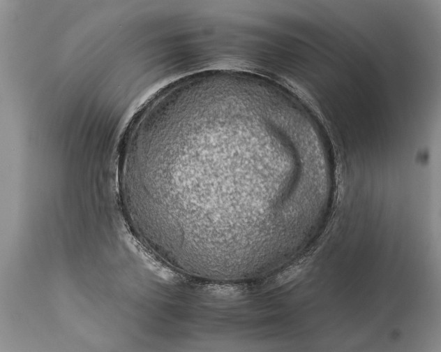 X0000113600931200910021737