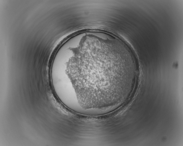 X0000113600932200910021737