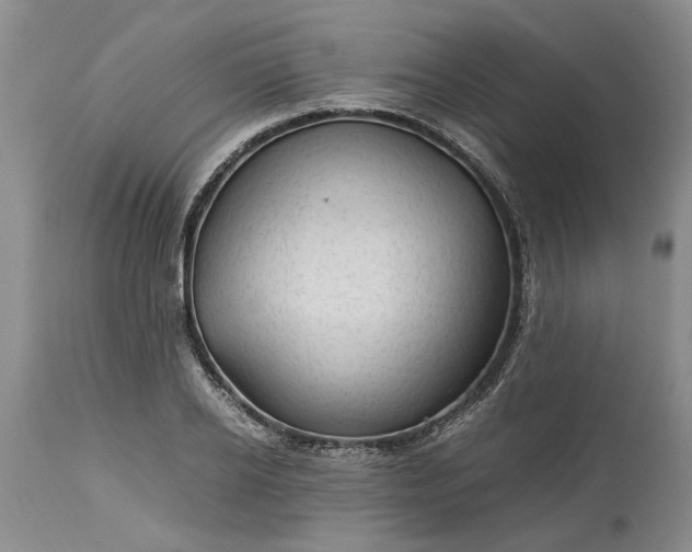 X0000113600934200910021737