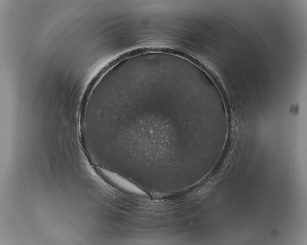 X0000113600935200910021737