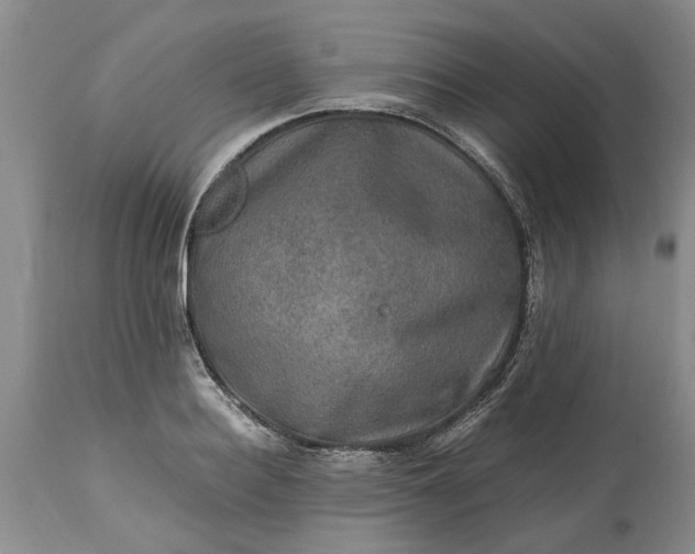 X0000113600940200910021737