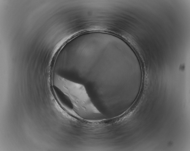 X0000113600941200910021737