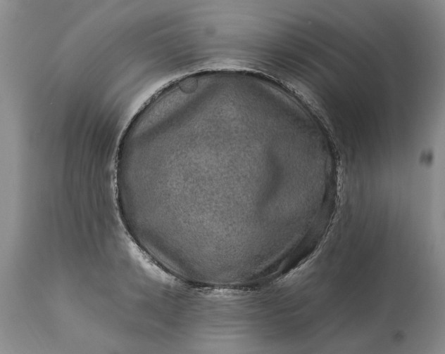 X0000113600942200910021737