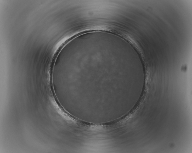 X0000113600944200910021738