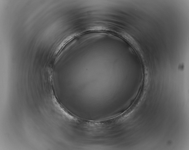 X0000113600945200910021738