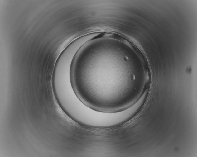 X0000113600946200910021738